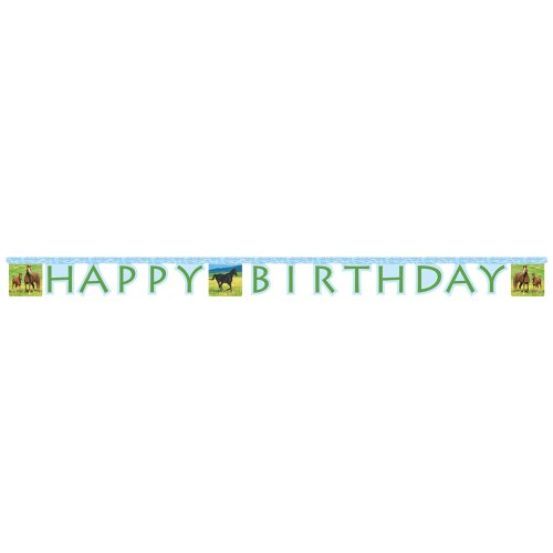 0073525712765 - CREATIVE CONVERTING WILD HORSES HAPPY BIRTHDAY JOINTED PARTY BANNER