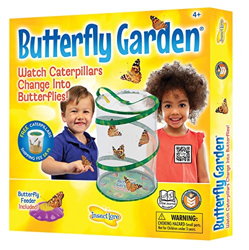 0735569010107 - INSECT LORE LIVE BUTTERFLY GARDEN