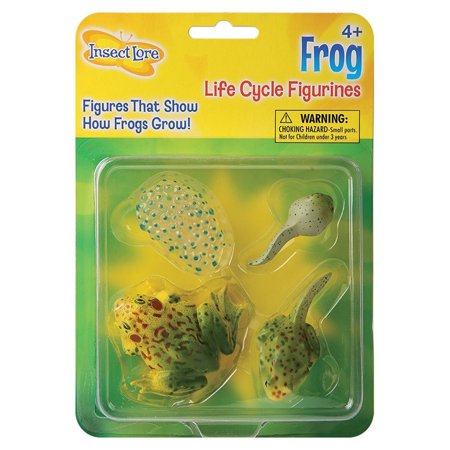 0735569026108 - FROG LIFE CYCLE STAGES