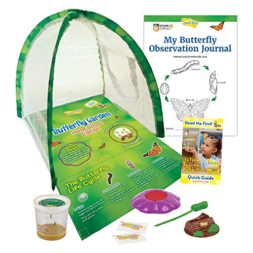 0735569110357 - INSECT LORE - BUTTERFLY GROWING KIT - CLEAR FRONT FACING VIEWING PANEL - LIVE CUP OF CATERPILLARS WITH STEM BUTTERFLY JOURNAL – LIFE SCIENCE & STEM EDUCATION – BUTTERFLY SCIENCE KIT