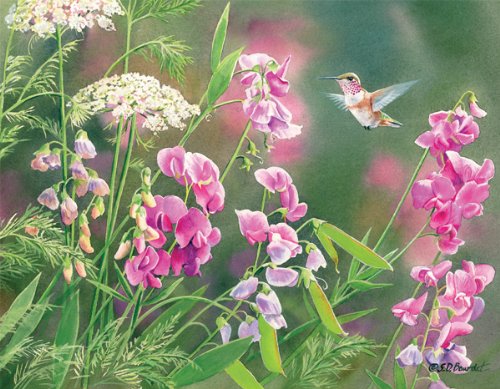 0739744130819 - PERFECT TIMING - LANG WILD SWEET PEA BOXED NOTECARD BY SUSAN BOURDET, 4 X 5 INCHES, 13 CARDS AND ENVELOPES
