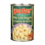 0074027277769 - CASE OF CAN OF BABY CORN NUGGETS