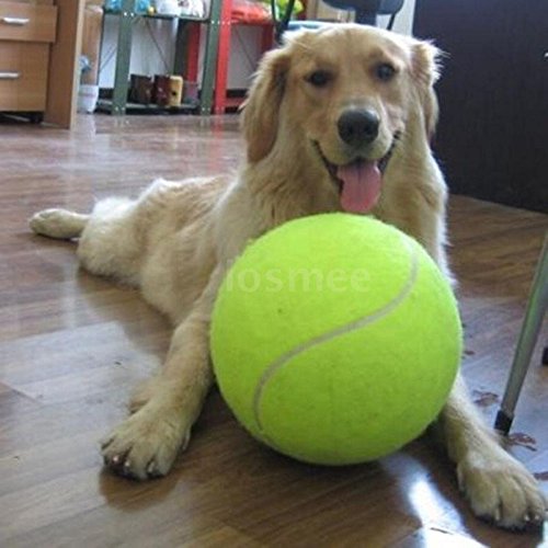 0740528408710 - NEW BIG GIANT PET DOG PUPPY TENNIS BALL THROWER CHUCKER LAUNCHER PLAY TOY H0E0