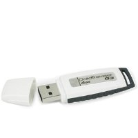 0740617177398 - KINGSTON DIGITAL 4 GB USB 2.0 HI-SPEED DATATRAVELER FLASH DRIVE DTIG3/4 GBZ, WHITE AND GRAY