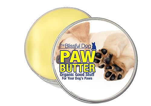 0741812907049 - THE BLISSFUL DOG ORGANIC PAW BUTTER FOR DOG'S ROUGH AND DRY PAWS, 1-OUNCE