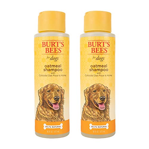 0742797100449 - BURTS BEES FOR DOGS NATURAL OATMEAL DOG SHAMPOO | WITH COLLOIDAL OAT FLOUR & HONEY | CRUELTY FREE, SULFATE & PARABEN FREE, PH BALANCED FOR DOGS - MADE IN USA, 16 OZ - PACK OF 2