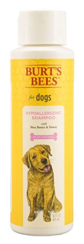 0742797757919 - BURT'S BEES FOR DOGS HYPOALLERGENIC SHAMPOO