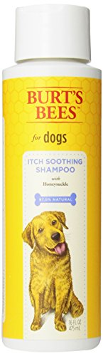 0742797758336 - BURTS BEE ITCH SOOTHING SHAMPOO, 16-OUNCE