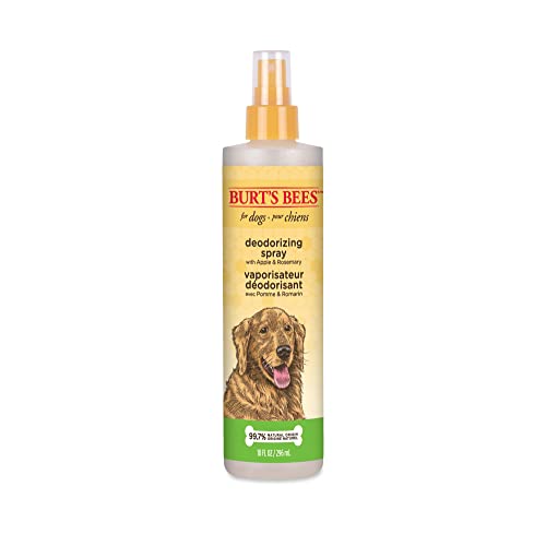 0742797769028 - BURTS BEES FOR DOGS NATURAL DEODORIZING SPRAY FOR DOGS | BEST DOG SPRAY FOR SMELLY DOGS | MADE WITH APPLE & ROSEMARY | CRUELTY FREE, SULFATE & PARABEN FREE, PH BALANCED FOR DOGS - MADE IN USA, 10 OZ