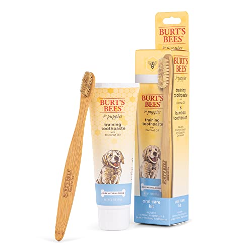 0742797805054 - BURTS BEES FOR PUPPIES NATURAL ORAL CARE KIT | DOG DENTAL KIT WITH TOOTHPASTE & BAMBOO TOOTHBRUSH | PUPPY TOOTHBRUSH AND TOOTHPASTE WITH HONEYSUCKLE & PEPPERMINT OIL, FRESH MINT FLAVOR (2.5 OZ)