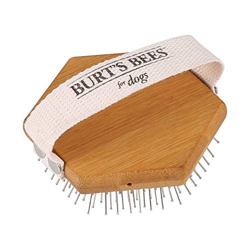 0742797873336 - PALM DETANGLING BRUSH ALL NATURAL BAMBOO DOG BRUSH DETANGLER WITH ADJUSTABLE STRAP FOR GREAT DOG BRUSHING DOG HAIR DETANGLER PIN BRUSH, BEST DOG GROOMING TOOLS