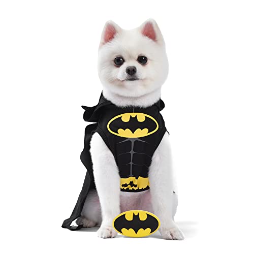 0742797881508 - DC BATMAN DOG COSTUME XSMALL | BEST DC BATMAN HALLOWEEN COSTUME FOR EXTRA SMALL DOGS | OFFICIAL BATMAN DOG COSTUME FOR PETS HALLOWEEN, DOG HALLOWEEN COSTUME