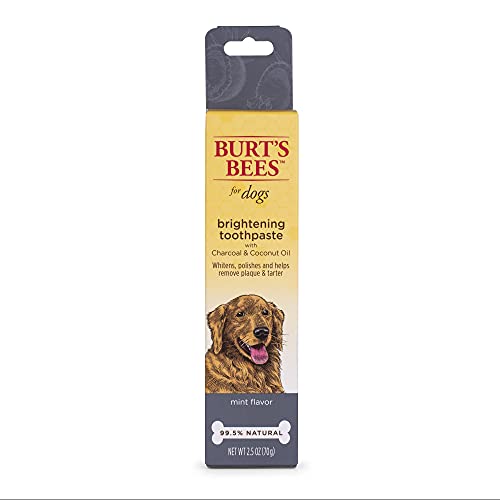 0742797882048 - BURTS BEES FOR DOGS CHARCOAL & COCONUT OIL BRIGHTENING TOOTHPASTE FOR DOGS WITH CHARCOAL & COCONUT OIL | 99.5% NATURAL DOG TOOTHPASTE IN MINT FLAVOR | DOG ORAL CARE DOG TOOTHPASTE, 2.5 OZ
