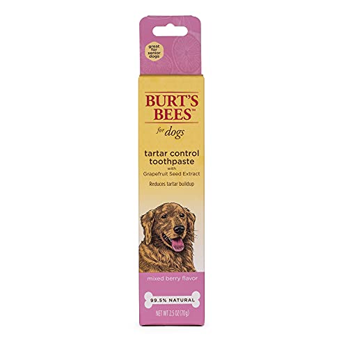 0742797891859 - BURTS BEES FOR DOGS TARTAR CONTROL TOOTHPASTE FOR DOGS WITH GRAPEFRUIT SEED EXTRACT | 99.5% NATURAL DOG TOOTHPASTE FOR TARTAR CONTROL IN MIXED BERRY FLAVOR | TARTAR CONTROL DOG TOOTHPASTE, 2.5 OZ