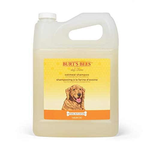 0742797893907 - BURT’S BEES FOR DOGS NATURAL OATMEAL CONDITIONER WITH COLLOIDAL OAT FLOUR AND HONEY | PUPPY AND DOG SHAMPOO