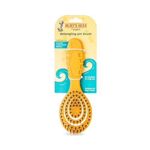 0742797933559 - BURT’S BEES FOR PETS DETANGLING PIN BRUSH FOR PUPPIES AND SMALL DOGS WITH MEDIUM TO LONG HAIR | HANDLE MADE FROM 100% OCEAN BOUND RECYCLED PLASTIC | DOG BRUSH REMOVES TANGLES AND LOOSENS LIGHT MATTING