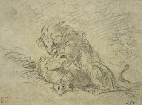 7429744569568 - LION CONSUMING A SHEEP EUGENE DELACROIX (1798-1863/FRENCH) DRAWING MUSEE DES BEAUX-ARTS ROUEN PRINT (18 X (24 X 36)