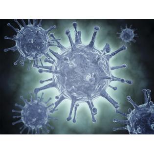 7430032942949 - CONCEPTUAL IMAGE OF THE HEPATITIS C VIRUS POSTER PRINT (16 X 12)