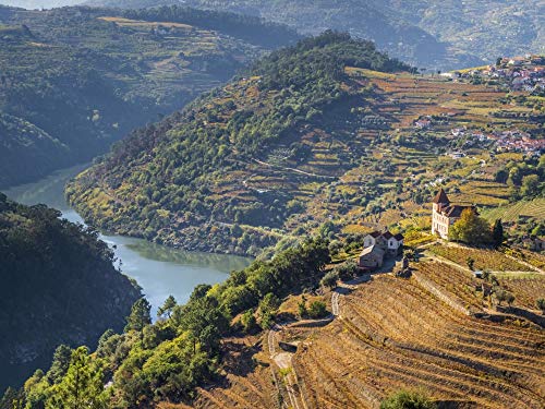7439326651642 - POSTERAZZI PDDEU23JEG0395 PORTUGAL, VINEYARDS AND SMALL COMMUNITY OF THE DOURO VALLEY IN AUTUMN PHOTO PRINT, 18 X 24, MULTI