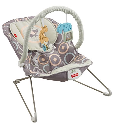 0746775386306 - FISHER-PRICE(R) COMFY TIME BOUNCER(TM)