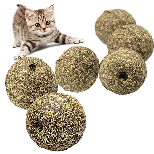 0747180591583 - 1PCS LOVELY GRASS COLOR NATURE CAT MINT BALL PLAY TOY FOR PET KITTEN, COATED WITH CATNIP