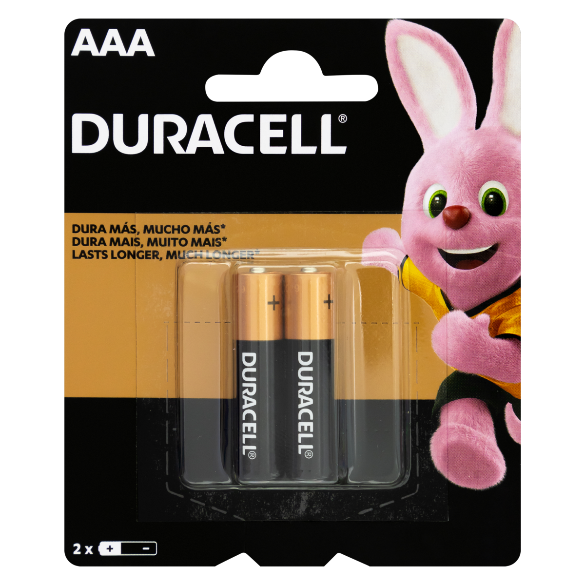Baterías Alcalinas AA - Duracell. Paq 2Und