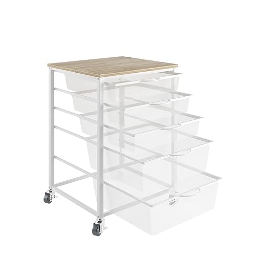 0755752241705 - AWQM ROLLING FILE STORAGE CABINET,5 DRAWERS CART ORGANIZER WITH LOCKABLE WHEELS,MOBILE OFFICE PRINTER STAND,HOME OFFICE UTILITY CART,OAK & WHITE MESH