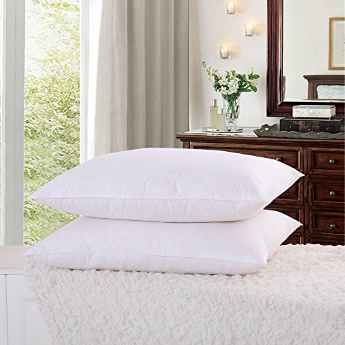 0758910310640 - ZOOM HIGH QUALITY GOOSE FEATHER BED PILLOWS ,2-PACK,WHITE, STANDARD SIZE