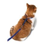 0759023076140 - COME WITH ME KITTY HARNESS & BUNGEE LEASH ROYAL BLUE MEDIUM