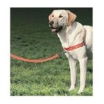 0759023076874 - REFLECTIVE EASY WALK HARNESS SMALL MEDIUM RED WITH 3 4 X LEASH 6 FT