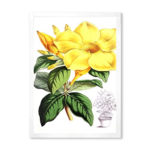 0759951893109 - DESIGNQ PINEAPPLE WITH COCONUT PLUMERIA AND PALM LEAVES TRADITIONAL FRAMED WALL ART