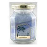 0760860081365 - RICHLY SCENTED DECO JAR OCEAN MIST 1 CANDLE