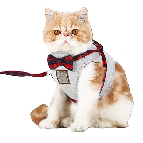 0761560591468 - ZZ SANITY CATS VEST HARNESS AND LEASH SET ,ADJUSTABLE COMFORTABLE SOFT MESH HARNESS JACKET VEST WITH LEASH FOR CATS SAFETY WALKING RUNNING (M)