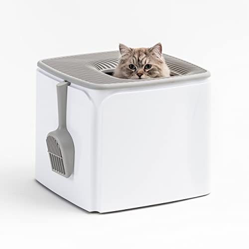 0762016495354 - IRIS USA PREMIUM TOP ENTRY CAT LITTER BOX PRCL-SQ, WHITE