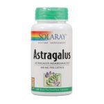 0076280001303 - ASTRAGALUS 400 MG,100 COUNT