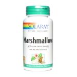0076280013801 - MARSHMALLOW ROOT 480 MG, 100 EASY-TO-SWALLOW CAPSULE,1 COUNT