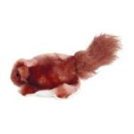 0763034000087 - DR.NOYS BEAVER TOY SMALL