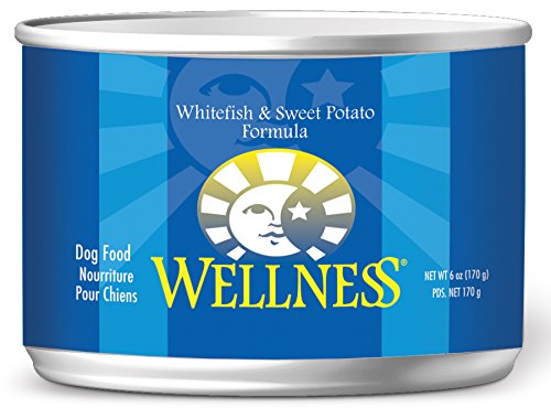 0076344088158 - WELLNESS COMPLETE HEALTH NATURAL WET CANNED DOG FOOD, WHITEFISH AND SWEET POTATO RECIPE, 6-OUNCE CAN (PACK OF 24)