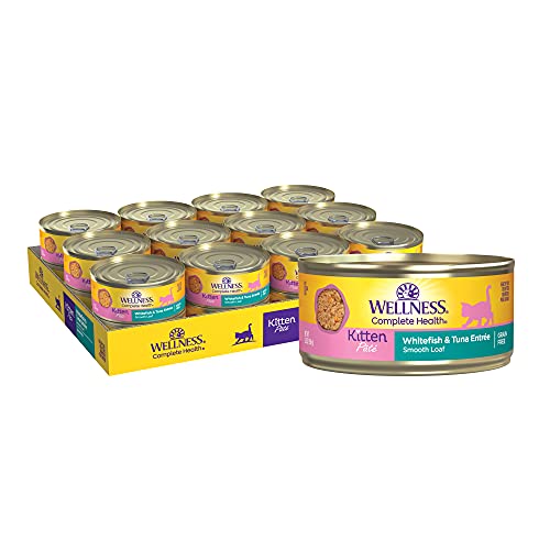 0076344090243 - WELLNESS COMPLETE HEALTH WET KITTEN FOOD, WHITEFISH & TUNA PATE, 5.5 OUNCE CAN (PACK OF 24)