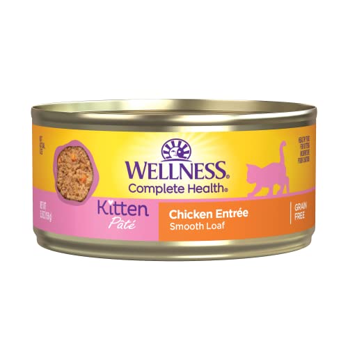 0076344090267 - WELLNESS COMPLETE HEALTH WET KITTEN FOOD, CHICKEN PATE, 5.5 OUNCE CAN (PACK OF 24)