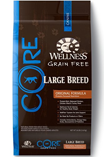0076344884347 - WELLNESS CORE GRAIN FREE LARGE BREED CHICKEN & TURKEY NATURAL DRY DOG FOOD, 26-POUND BAG