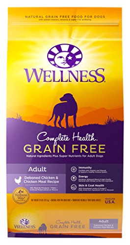 0076344891321 - WELLNESS COMPLETE HEALTH GRAIN FREE CHICKEN NATURAL DRY DOG FOOD, 24-POUND BAG