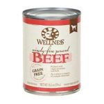 0076344894506 - 95AND#37 BEEF ADULT CANNED DOG FOOD