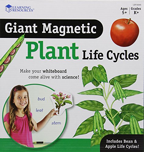0765023060454 - LEARNING RESOURCES GIANT MAGNETIC PLANT LIFE CYCLE