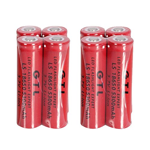 0765407511510 - LEYSHIZ 4 PCS LI-ION RECHARGEABLE BATTERY WITH 2X DUAL CHARGER
