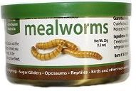 0765891234568 - CANNED MEALWORMS 35 G.