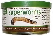 0765891234629 - CANNED SUPERWORMS 35 G.