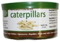 0765891234636 - CANNED CATERPILLARS 35 G.