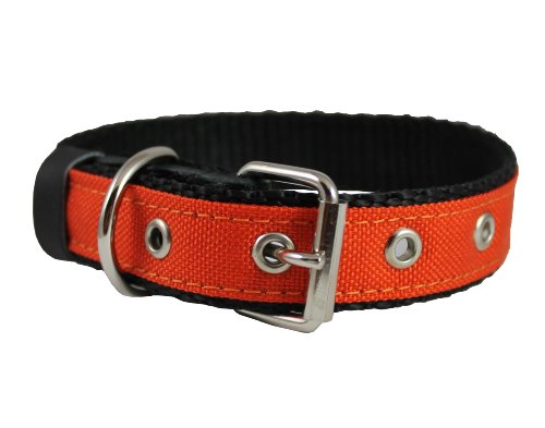 0766150177787 - DOUBLE THICK NYLON DOG COLLAR LEATHER ENFORCED METAL BUCKLE SIZED TO FIT 11-14 NECK, 1 WIDE.