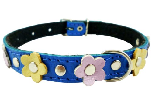 0766150186796 - GENUINE LEATHER DESIGNER DOG COLLAR, DAISY, STUDS. 11.5X1/2 WIDE. FITS 8-10 NECK, POMERANIAN, POODLE, PUPPIES
